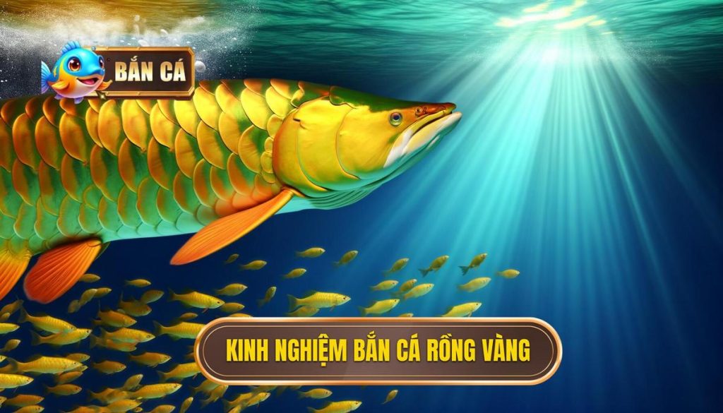 Kinh nghiệm bắn cá rồng vàng